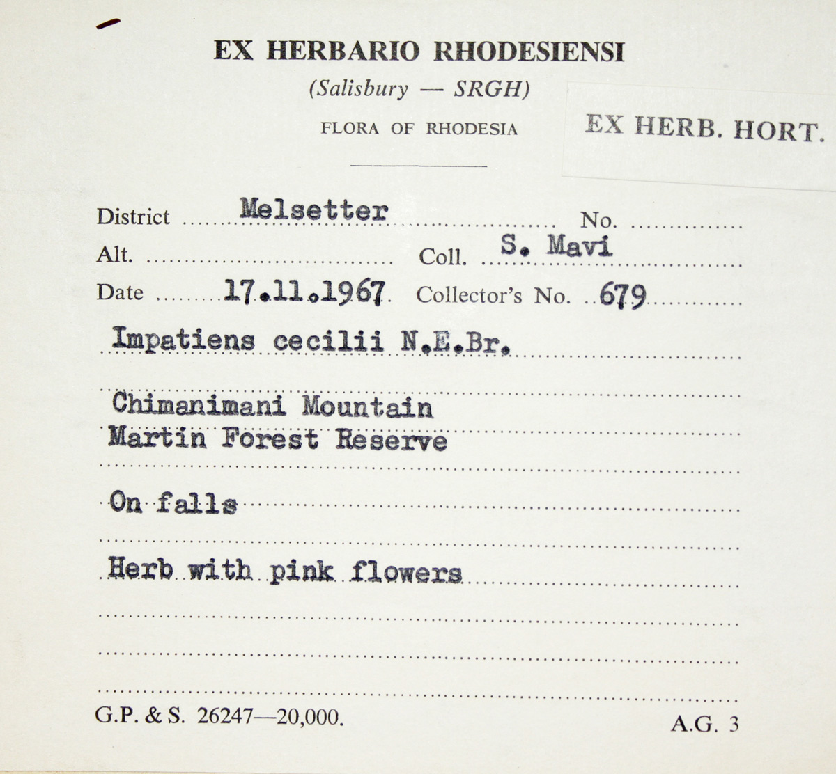 Impatiens cecilii subsp. cecilii