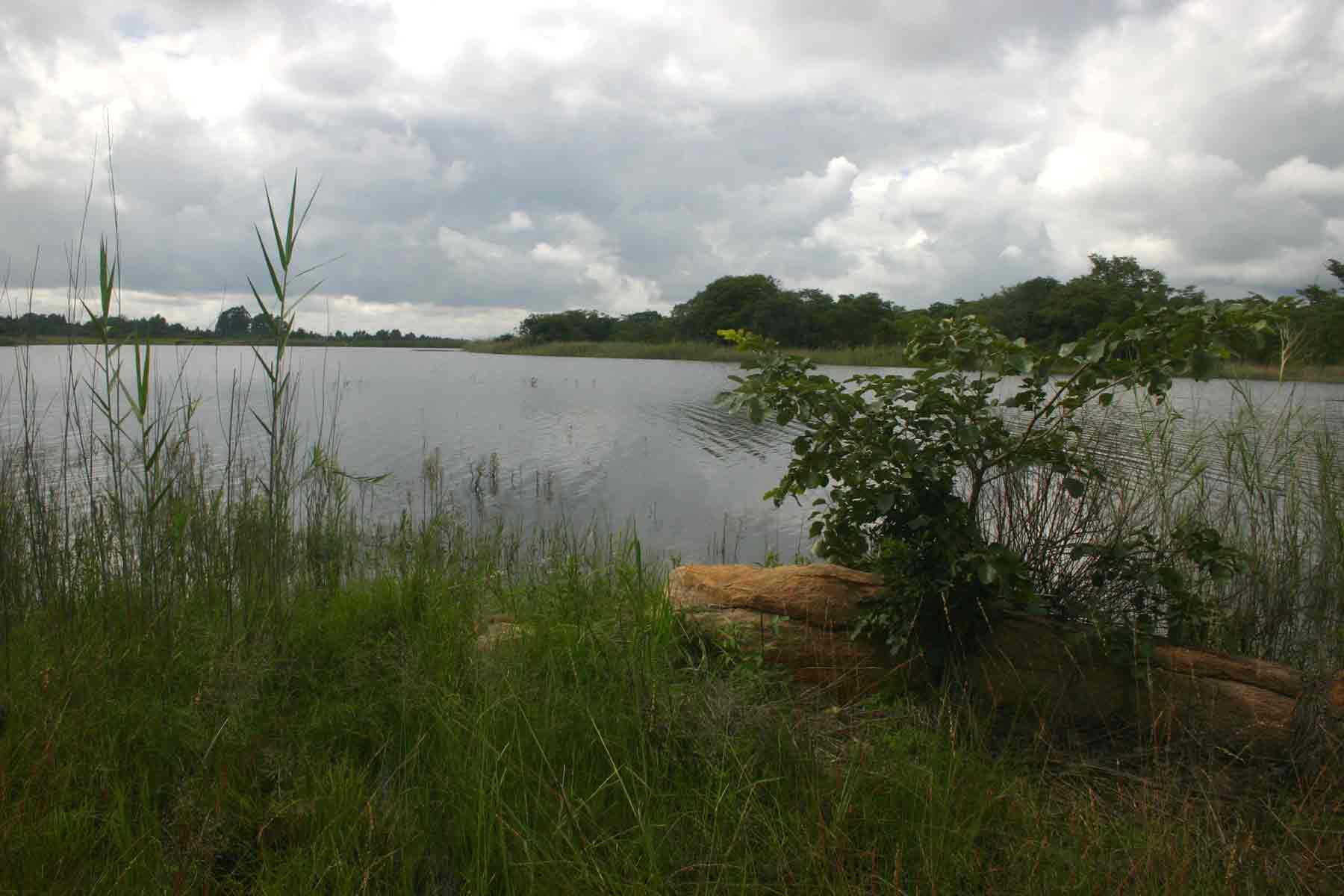 View over dam